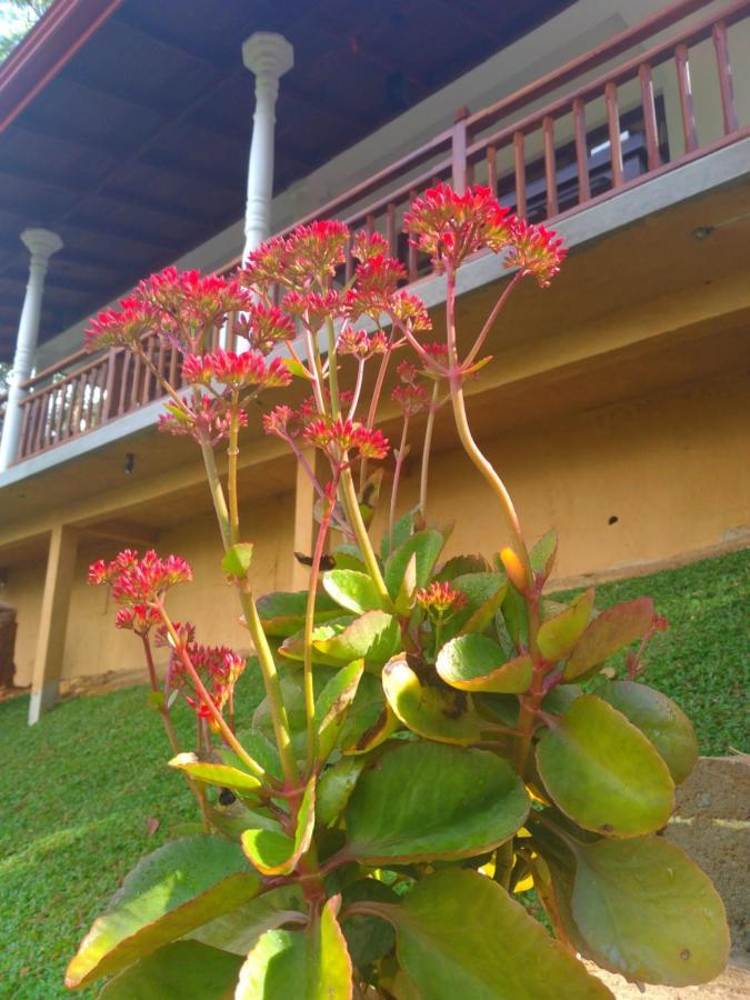 Hotel Ella Hillsite View Exterior foto